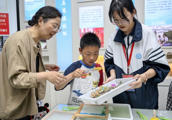 配资专业股票配资网站 这项活动全市有5万个名额，你家娃抢到吗？